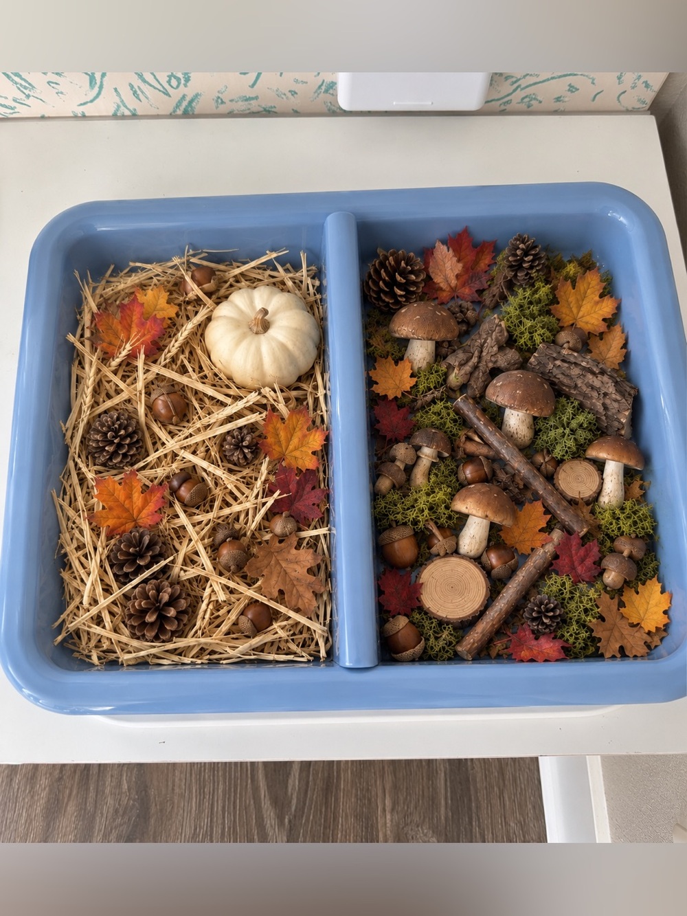 Fall forest sensory bin